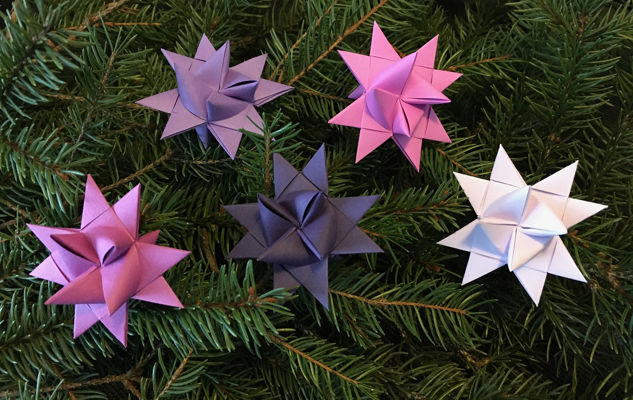 Froebel Stars with Becky Rehl