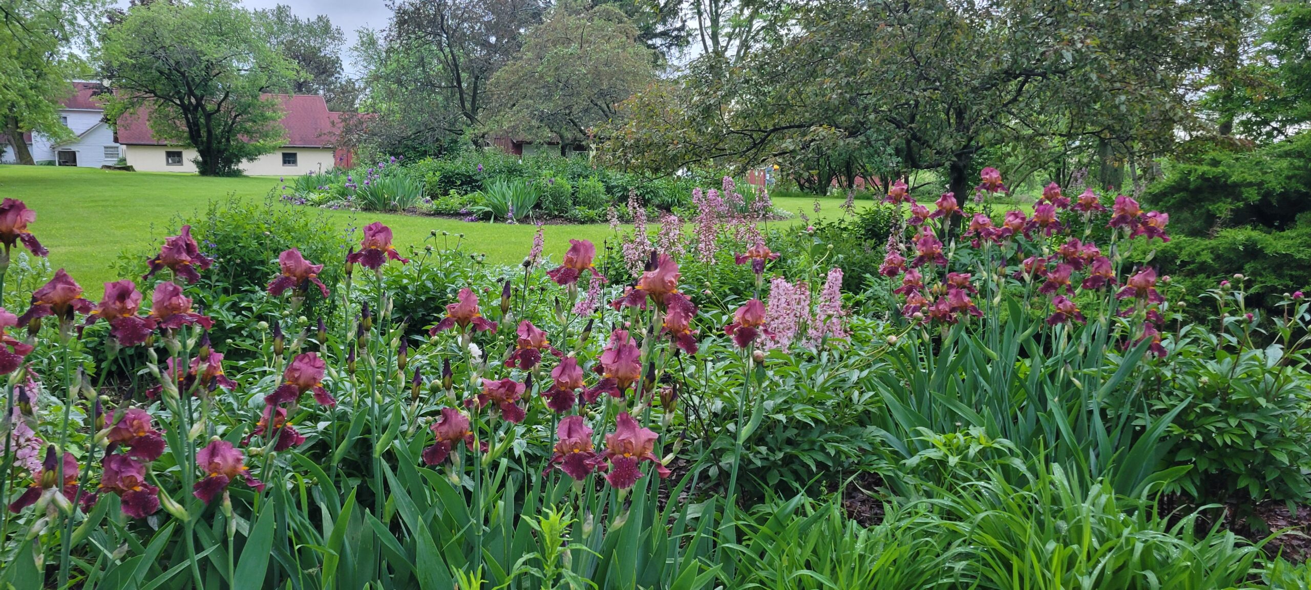 view from the garden in spring